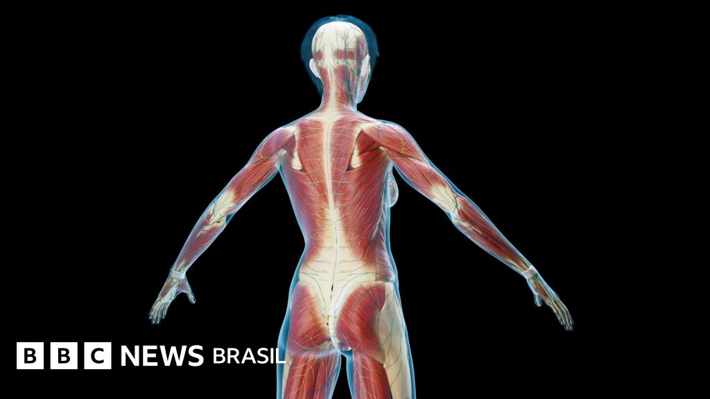 Fáscia: como a parte mais negligenciada do corpo passou a receber atenção
