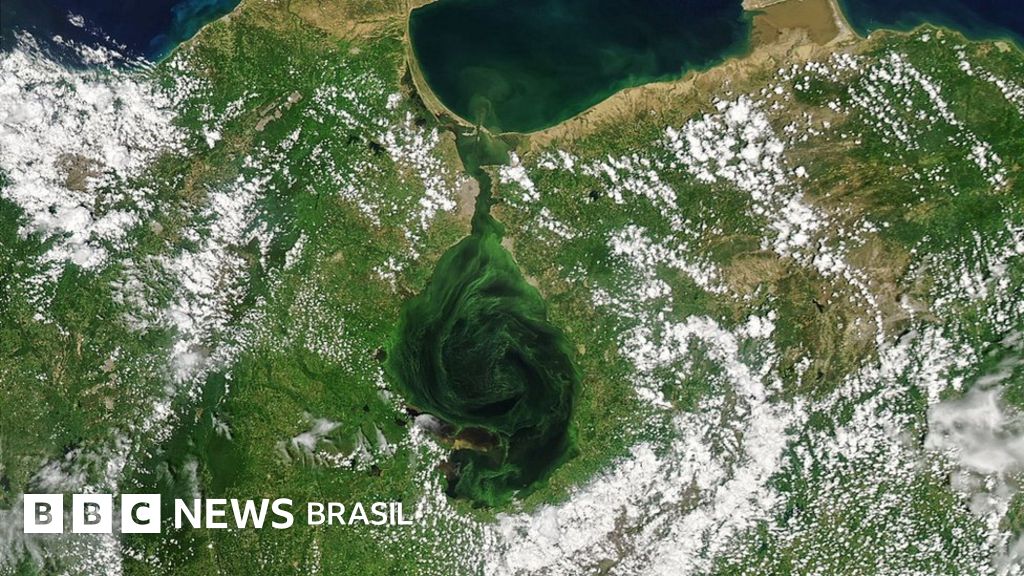 As imagens que mostram como maior lago da América do Sul está ficando verde, com consequências fatais