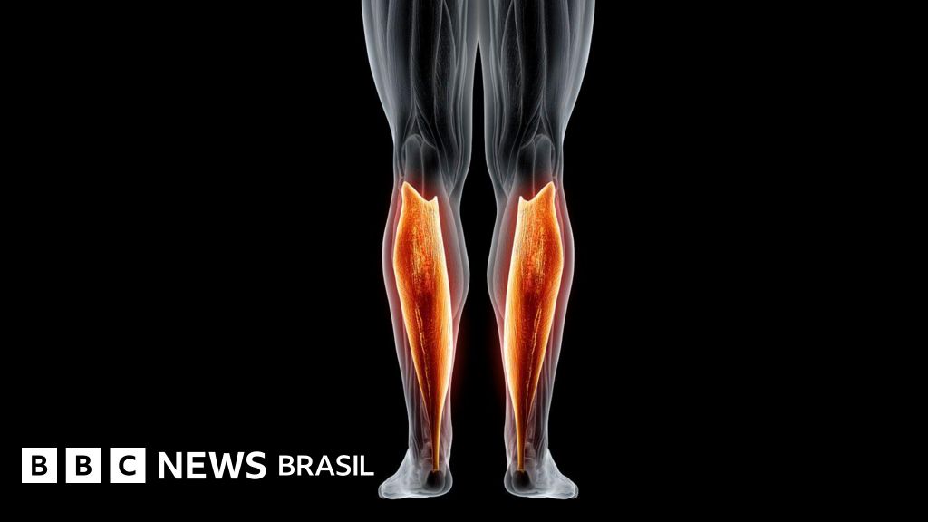 A importância do músculo sóleo, apelidado de 'segundo coração'