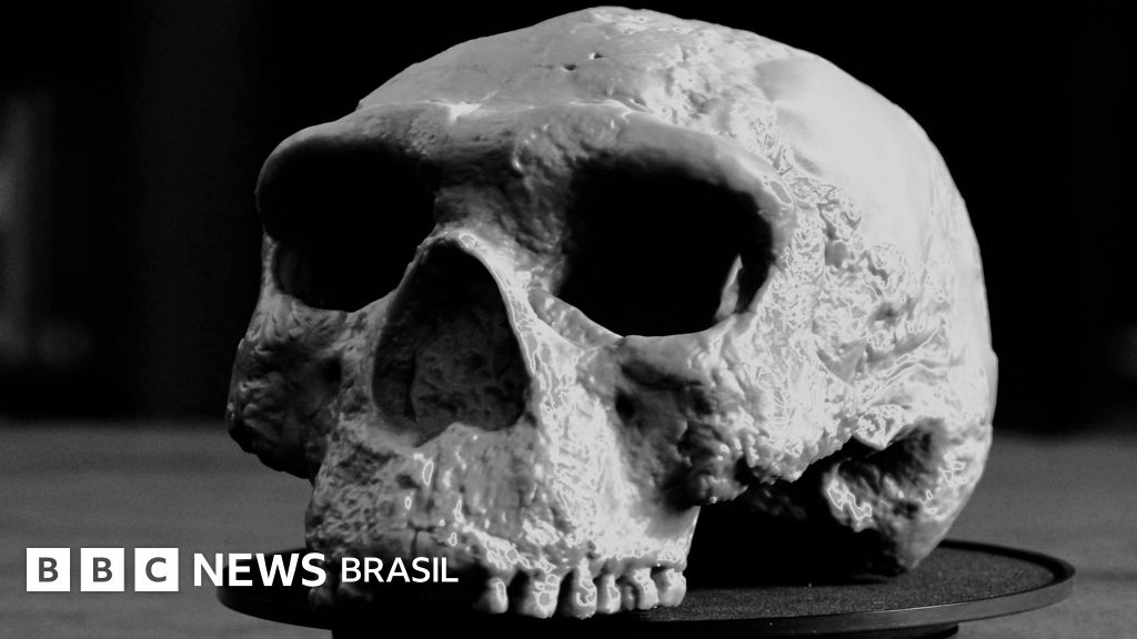 Crânio de milhões de anos reescreve a história da evolução humana, segundo cientistas