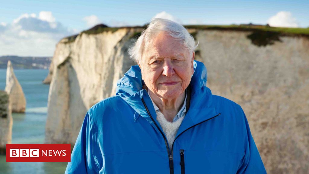 A poderosa e otimista mensagem sobre o futuro do planeta de David Attenborough aos 99 anos