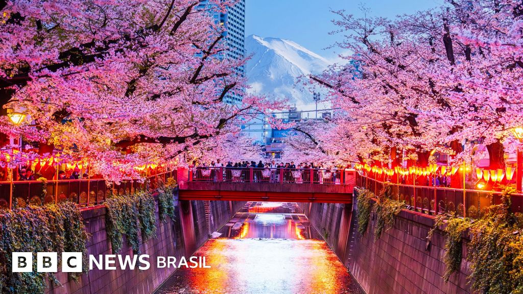 Mau comportamento dos turistas leva cidade japonesa a cancelar festival das cerejeiras em flor