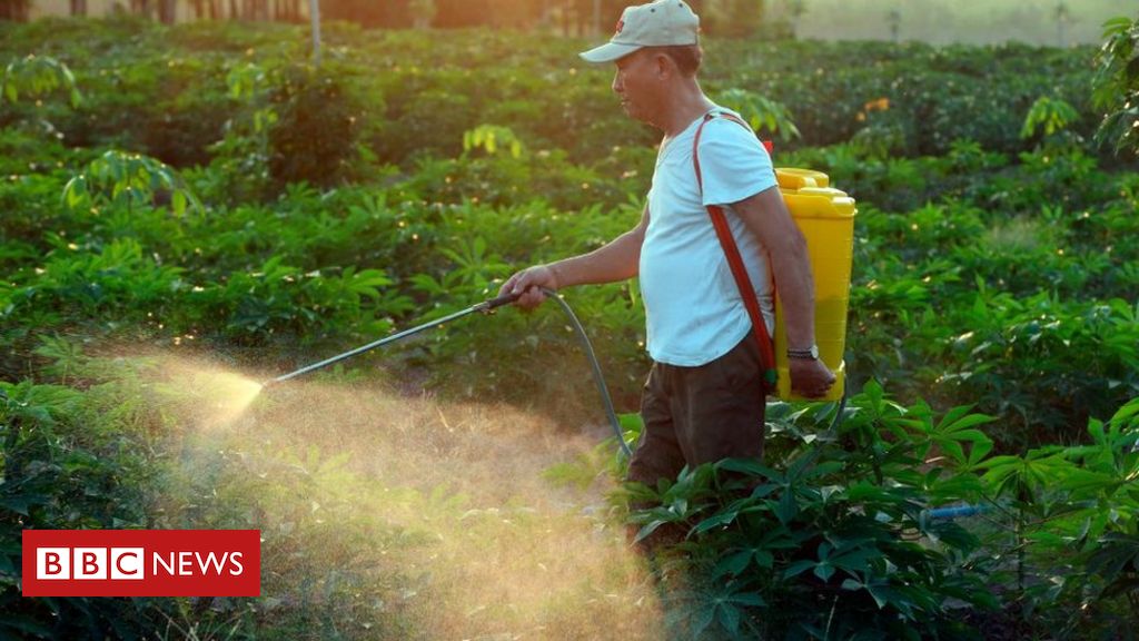 Um terço do agrotóxico vendido pelas maiores empresas do setor é 'altamente perigoso', diz publicação; Brasil é maior mercado