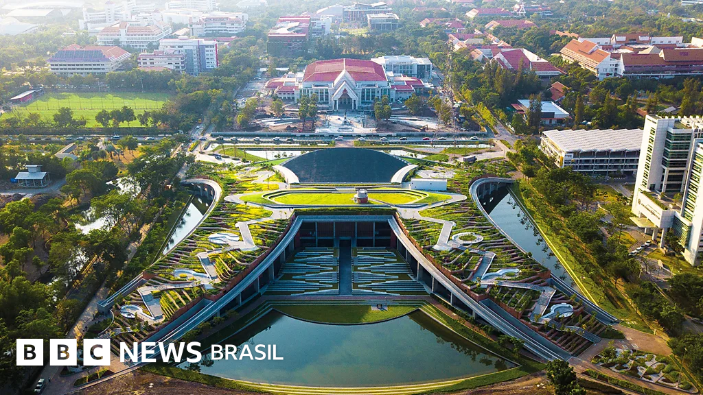 As cidades que se inspiram em plantações de arroz para evitar enchentes