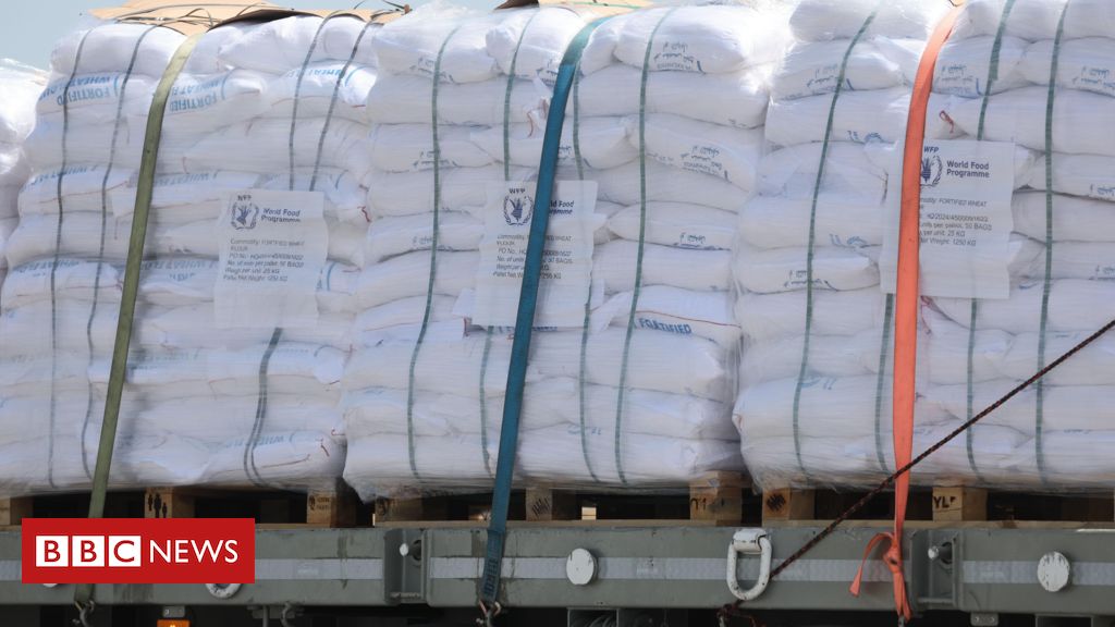 14 mil bebês podem morrer em Gaza em 48 horas se Israel não permitir ajuda, diz ONU à BBC