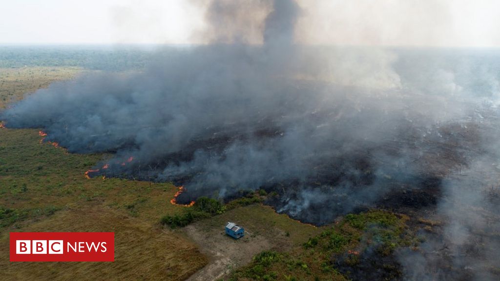 O Que Se Sabe Sobre O 'Dia Do Fogo', Momento-chave Das Queimadas Na ...