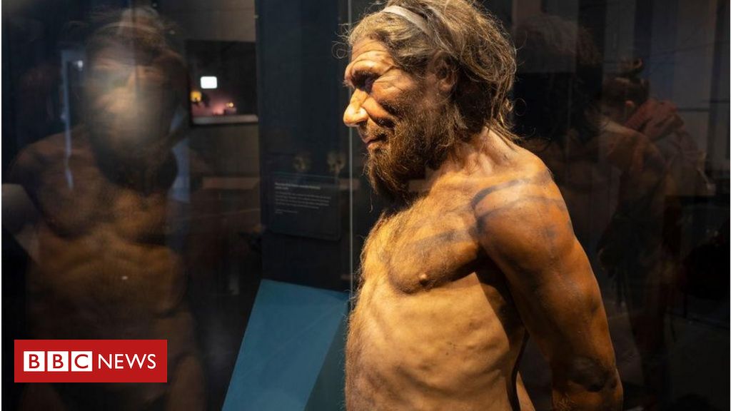 What drove the Neanderthals to extinction: violence or sex?