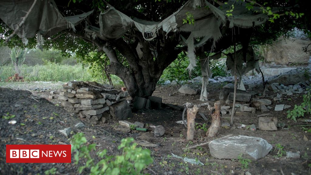 Como emenda do 'orçamento secreto' apoiada por Hugo Motta foi parar em obra com produto de trabalho escravo