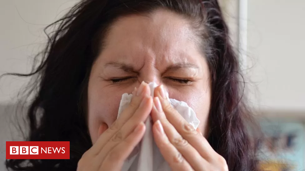 What is the “long flu,” an illness identified in a new study that doctors are still trying to understand