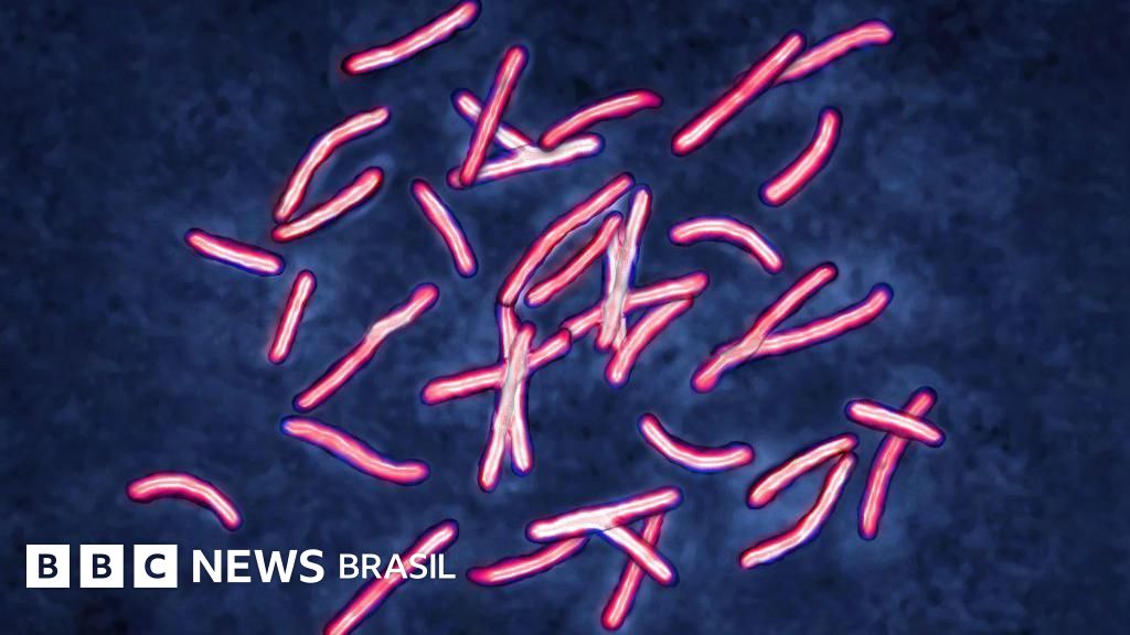 IA soluciona em dois dias questão-chave sobre superbactérias que cientistas levaram anos para desvendar