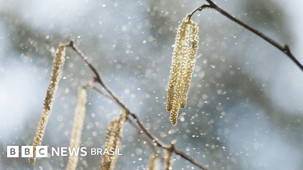 Por que alergias estão ficando piores com mudanças climáticas