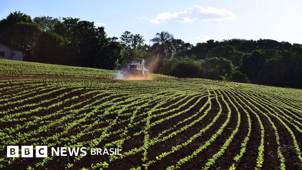 Por que a guerra do Irã ameaça o coração do agronegócio brasileiro