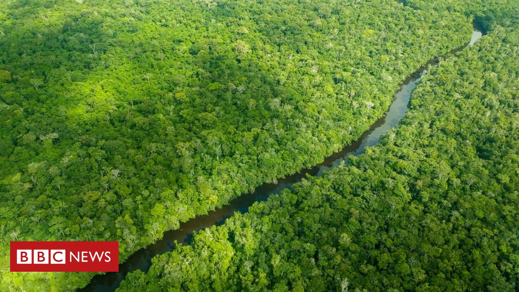 602 cientistas pedem que Europa condicione importações do Brasil a cumprimento de compromissos ambientais