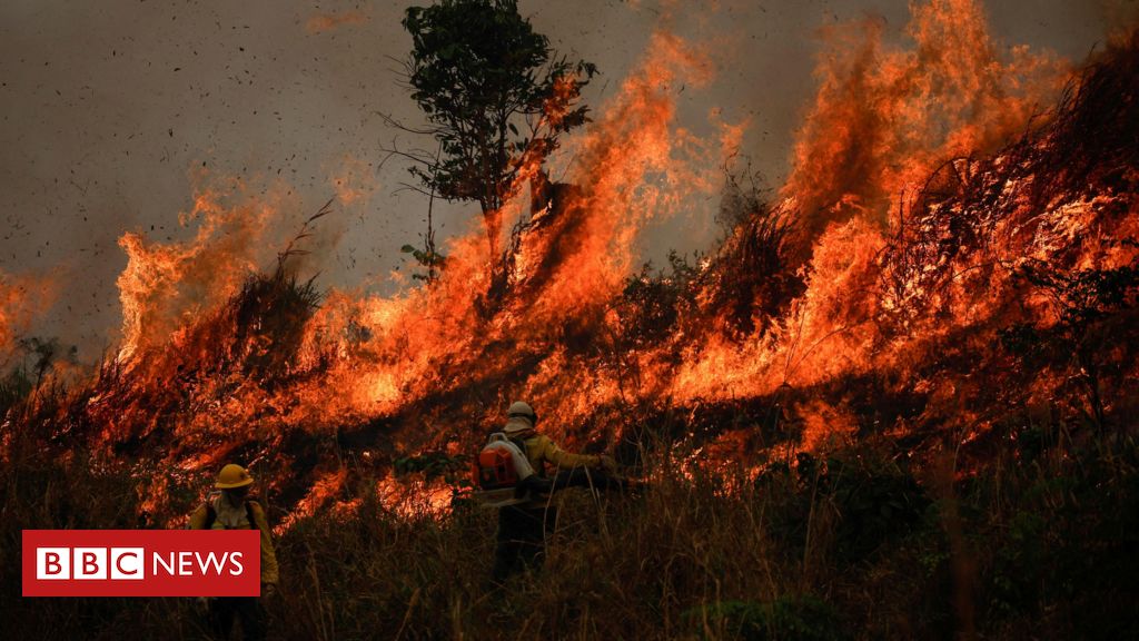 Os 2,8 mil candidatos multados por danos ao meio ambiente