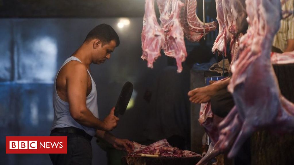 ISKCON contribui para o aumento do vegetarianismo no Brasil, o maior  exportador mundial de carne bovina. (Versión en Portugués) – Portal de  ISKCON NOTICIAS