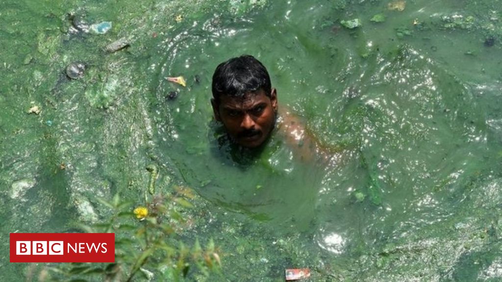 Passei 28 horas nadando em mar aberto para salvar minha vida' - BBC News  Brasil