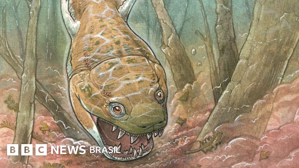 'Salamandra dos infernos': o animal gigante que dominava a Terra antes dos dinossauros