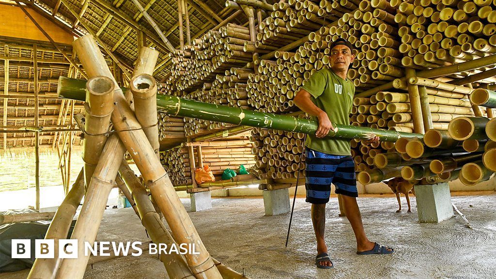 Os edifícios de bambu que resistem a terremotos