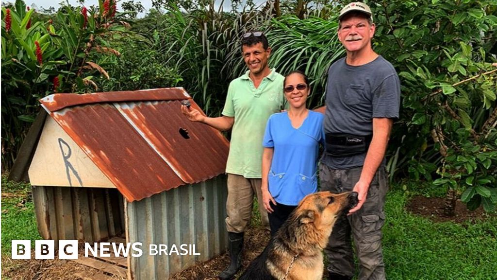 Casa de cachorro atingida por meteorito é leiloada por R$ 220 mil