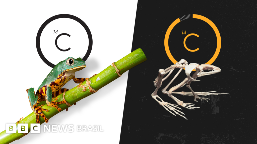 O relógio que começa a contar quando algo morre