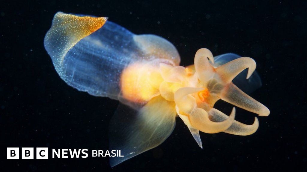 A polêmica decisão da Noruega, primeiro país a permitir mineração no fundo do mar