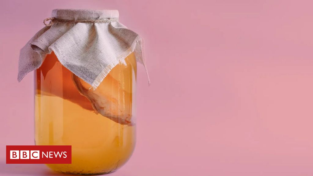 Alimentos fermentados, como kombucha, realmente fazem bem à saúde?