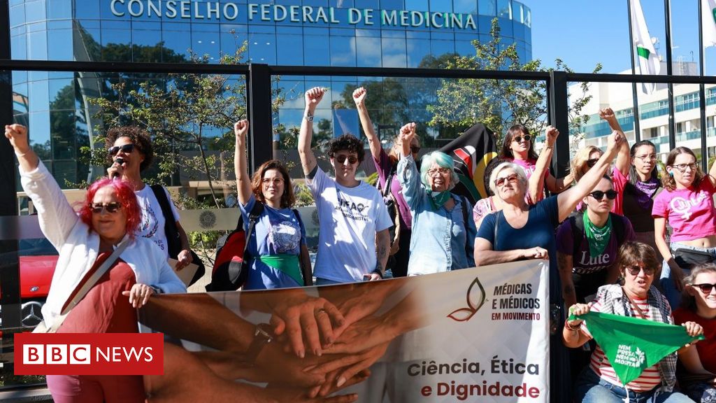 Como Conselho Federal de Medicina se tornou pivô dos embates sobre aborto legal no Brasil