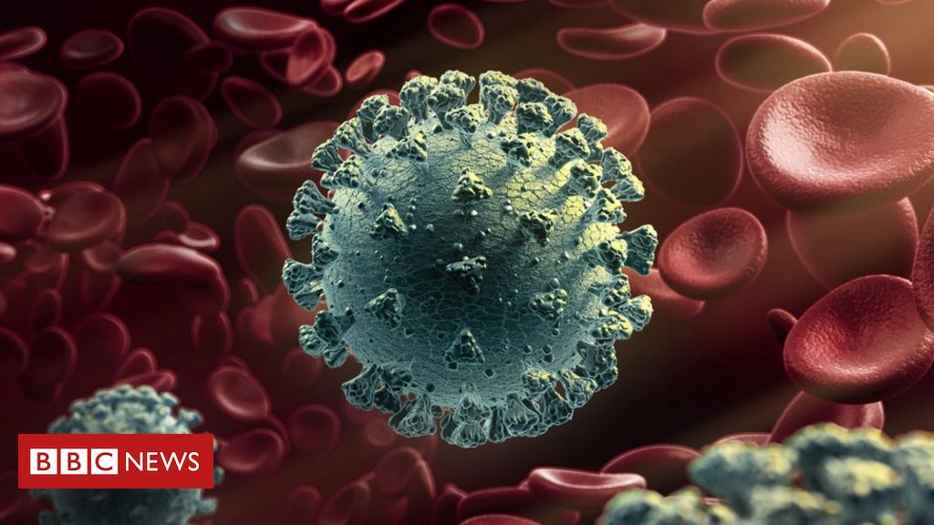 O Que Se Sabe Sobre A Nova Variante Do Coronavirus Que Levou A Novo Lockdown Na Inglaterra c News Brasil
