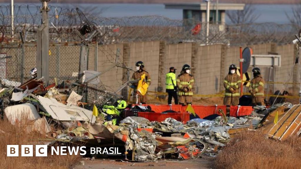 Choque com pássaros contribuiu para o acidente de avião na Coreia do Sul? O que sabemos até agora