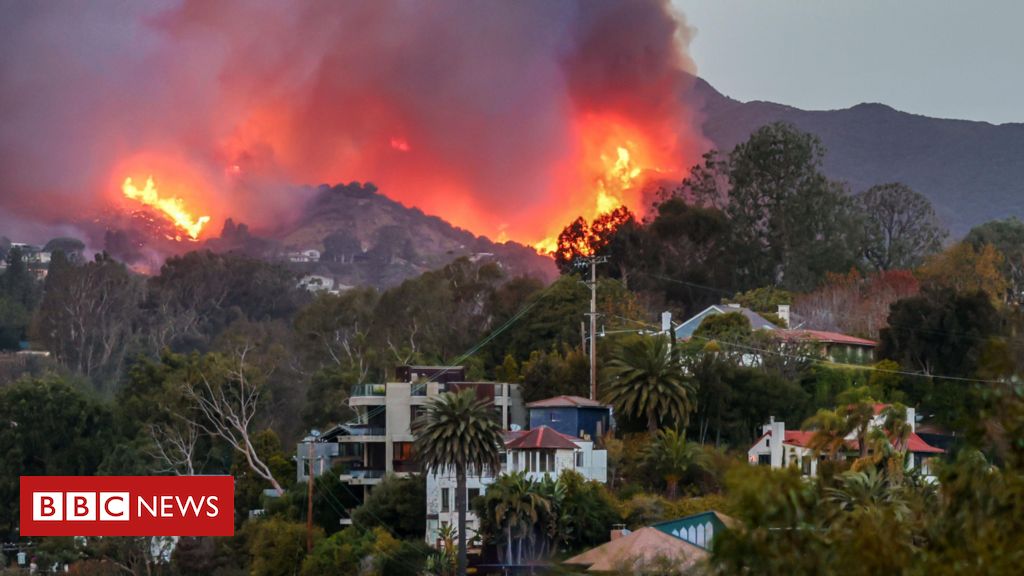 Pacific Palisades: o bairro das celebridades devastado por pior incêndio da história de Los Angeles