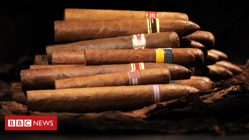 Por que charutos de Cuba estão ameaçados pelas mudanças climáticas