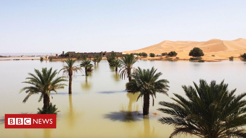 Saara: O que causou a chuva que provocou inundações inéditas no deserto