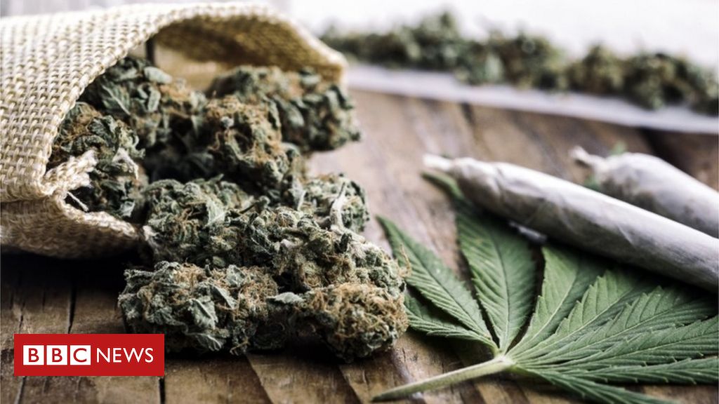 A Legalização Silenciosa Da Maconha Medicinal No Brasil Bbc News Brasil