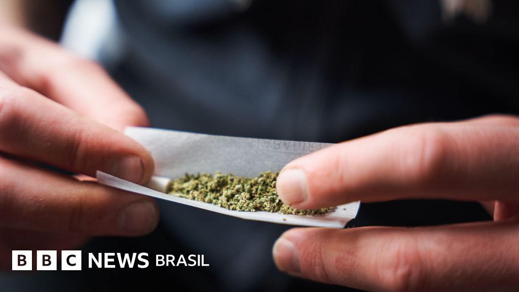Maconha: por que a fumaça não é inofensiva como muitos pensam - BBC ...