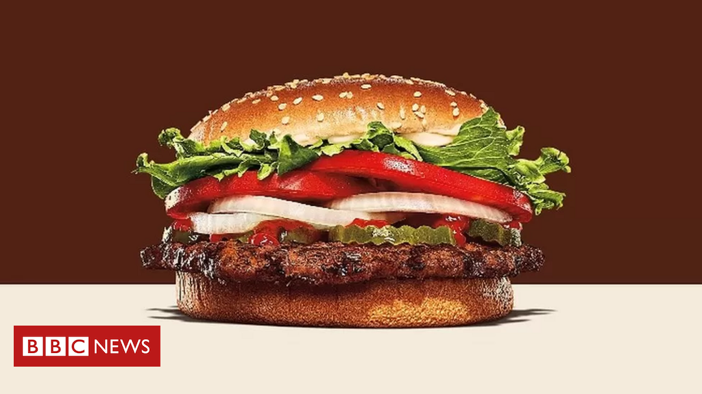 Onix Burguer - Cadê os fãs de Hambúrguer? Hoje mais do que nunca é