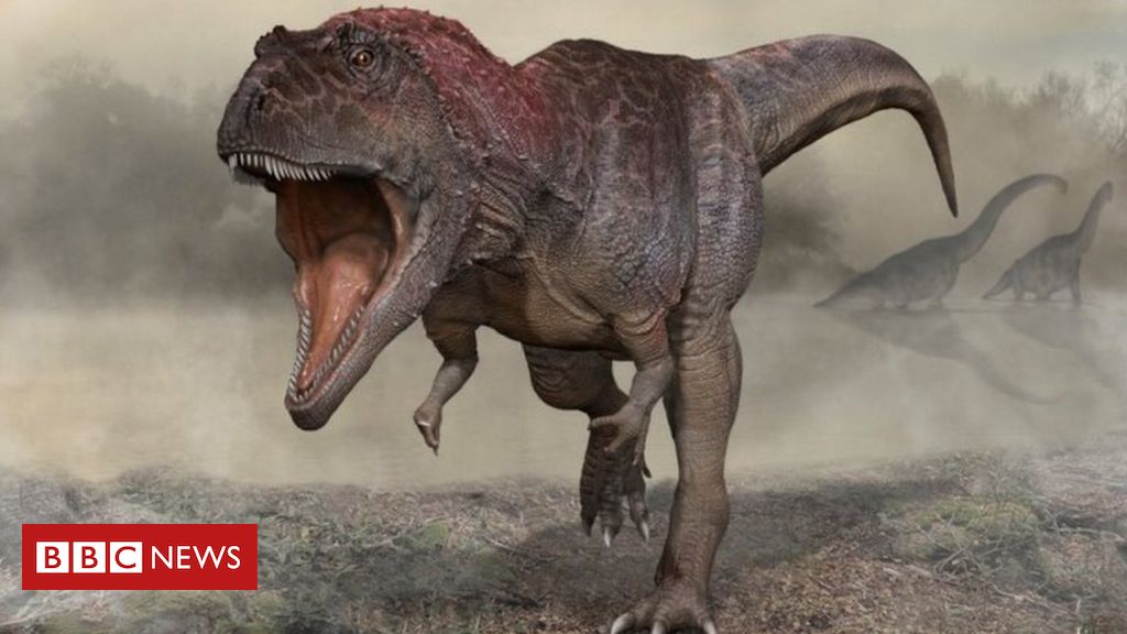 Novo estudo mostra como eram lábios e dentes do Tiranossauro Rex, Ciência