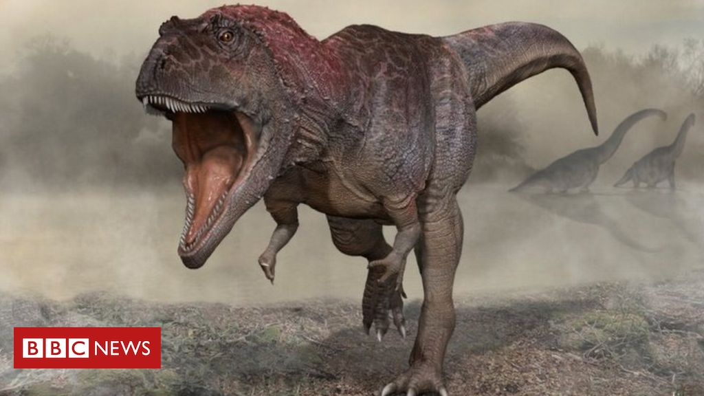 Um Dinossauro Mais Rápido e Maior Que o T-Rex, mas Quem Vence Uma Luta Cara  a Cara 