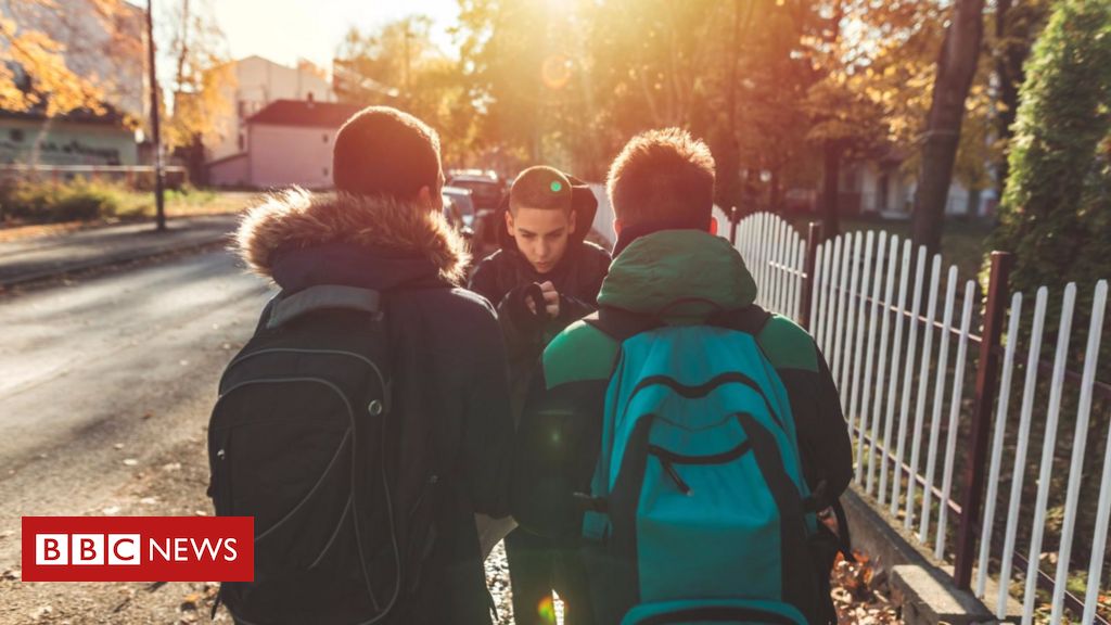 Como diferenciar entre pequenas gozações na escola e bullying - e o que  fazer em cada caso - BBC News Brasil