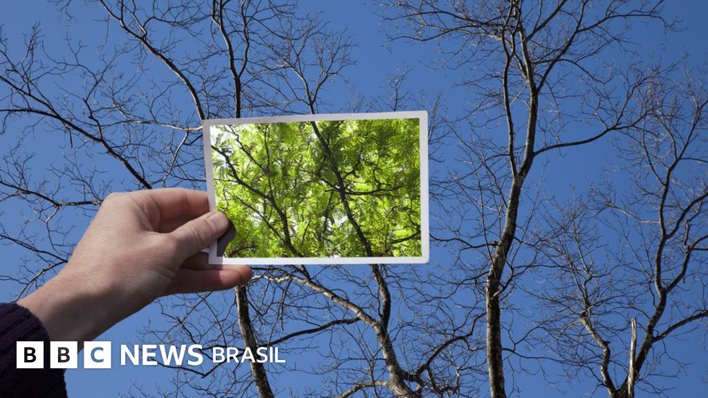 Otimismo: 7 formas de ser mais positivo mesmo em tempos sombrios
