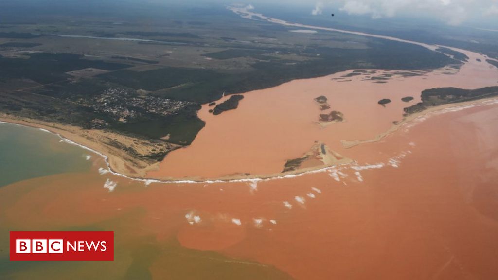 O rato gigante que ameaça de extinção espécie de albatroz - BBC