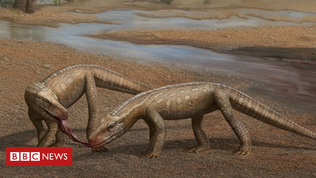 O novo réptil de 237 milhões de anos de idade descoberto no Brasil