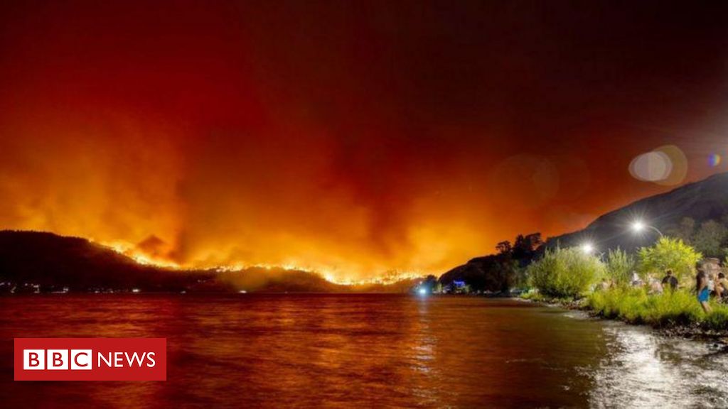 Fires in Canada: impressive images showing the progress of the fire in an area in a state of emergency