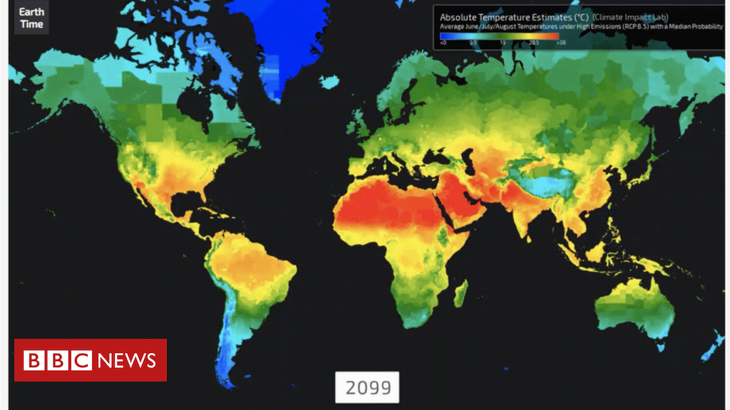 Relação entre clima e vegetação no Brasil - Planos de aula - 7°ano