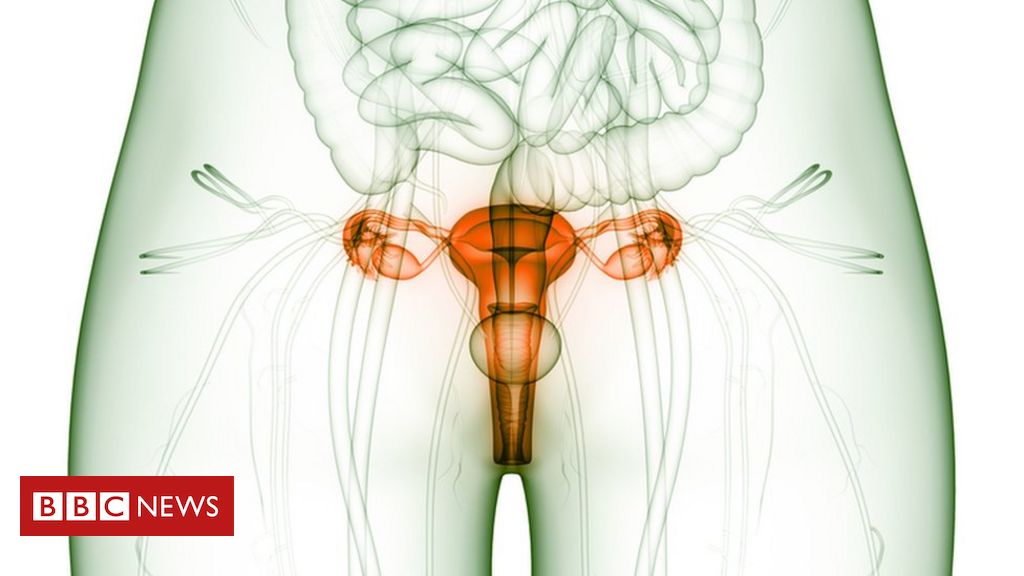 O que o sangue da menstruação diz sobre a saúde da mulher - BBC