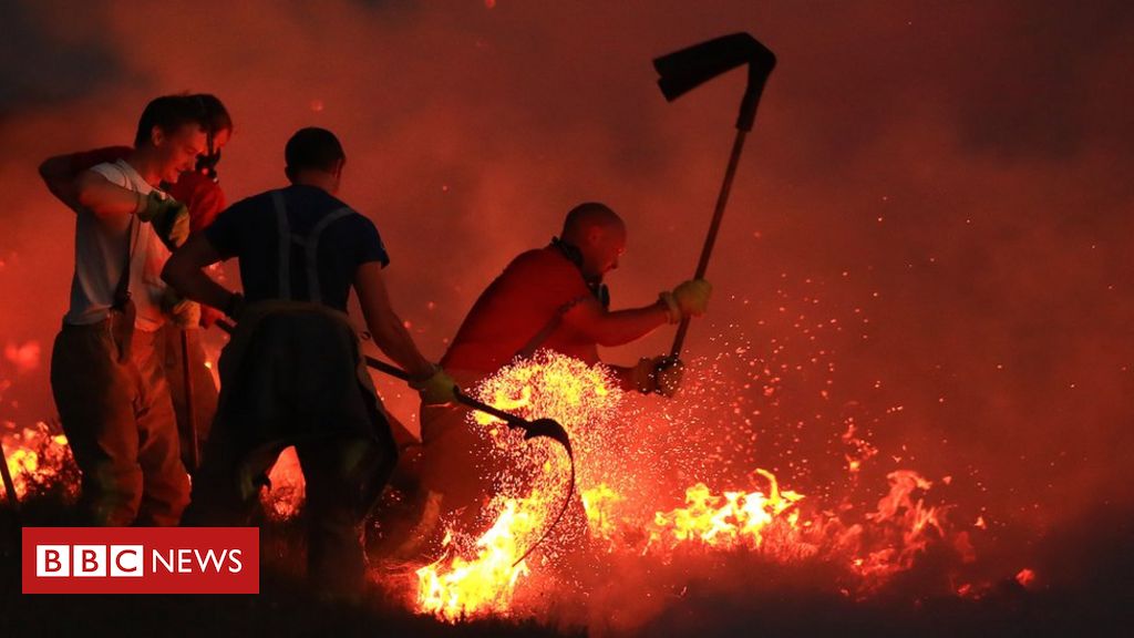 Segundo a ONU, 88% dos jovens acham que as mudanças climáticas