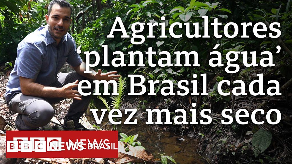 Os agricultores que ‘plantam água’ em um Brasil cada vez mais seco