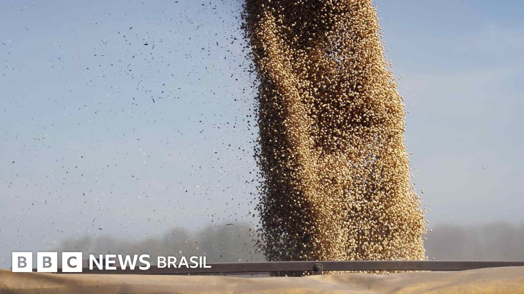 Como governo aproveita guerra na Ucrânia para acelerar votação de mineração em terras indígenas