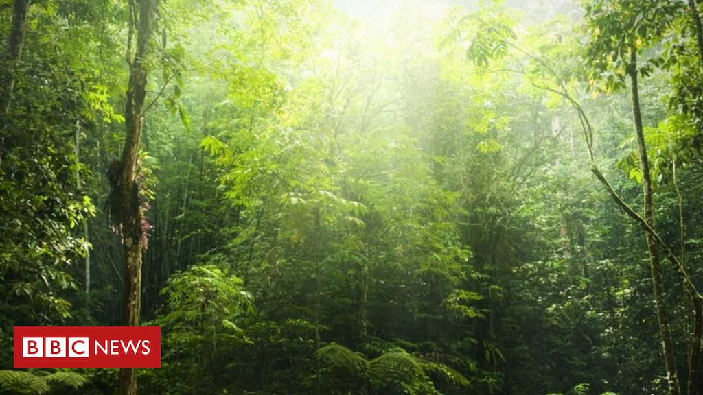 Nature - E seus Atributos