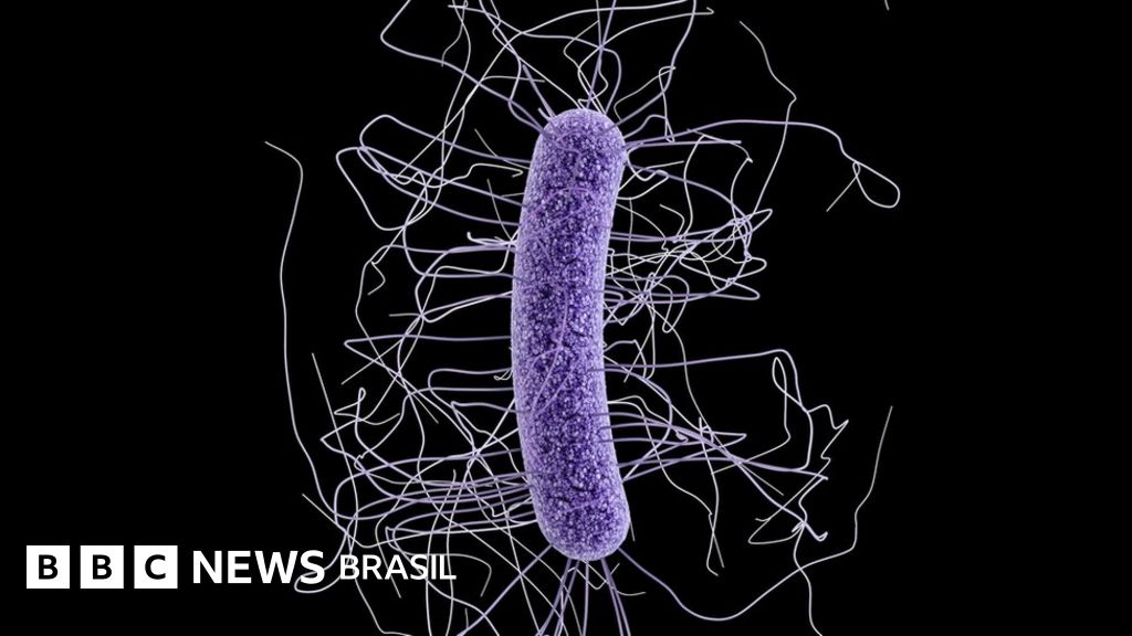 Superbácterias Matarão Uma Pessoa A Cada 3 Segundos Em 2050 Bbc Superbácterias Matarão Uma Pessoa A Cada 3 Segundos Em 2050 Bbc