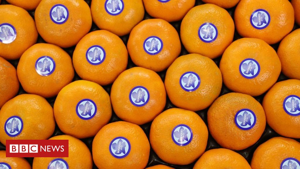 Saiba Quais São Os 100 Alimentos Mais Nutritivos Do Mundo Bbc News Brasil 3988